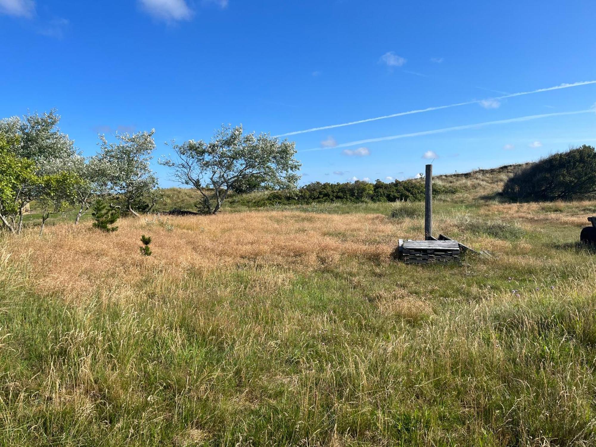 The Beach Farm - Charm, Beach And Stunning Nature Bedsted Thy Exterior foto